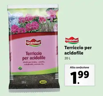 Lidl Grandiol Terriccio per acidofile offerta