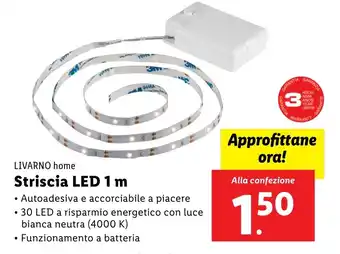 Lidl LIVARNO home Striscia LED 1 m offerta