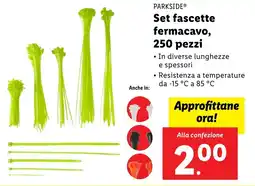 Lidl PARKSIDE Set fascette fermacavo, 250 pezzi offerta