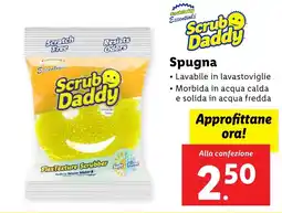 Lidl Scrub Daddy Spugna offerta