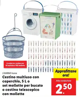 Lidl LIVARNO home Cestino multiuso con coperchio, 5 L o set mollette per bucato o cestino telescopico con mollette offerta