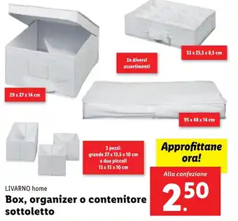 Lidl LIVARNO home Box, organizer o contenitore sottoletto offerta