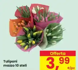 Despar Tulipani mazzo 10 steli offerta