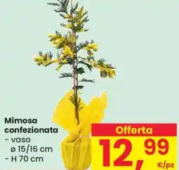 Despar Mimosa confezionata offerta