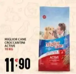 Supermercati Trisss MIGLIOR CANE croccantini active offerta