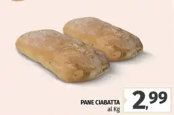 Pam Pane ciabatta offerta