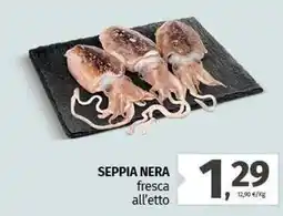 Pam SEPPIA NERA fresca offerta