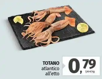 Pam TOTANO atlantico offerta