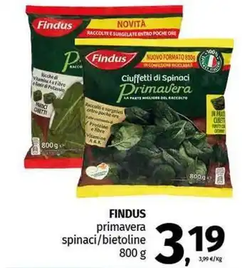 Pam FINDUS primavera spinaci/bietoline offerta