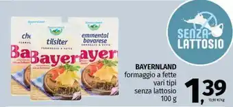 Pam BAYERNLAND formaggio a fette vari tipi senza lattosio offerta