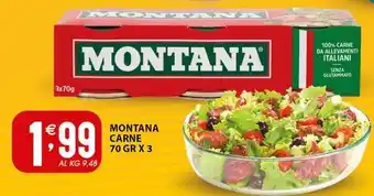 Sisa Montana carne offerta