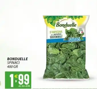 Sisa BONDUELLE spinaci offerta