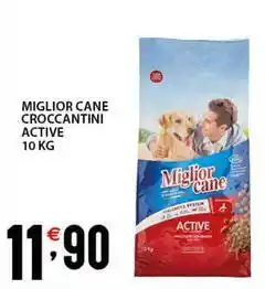 Sisa Miglior cane croccantini active offerta