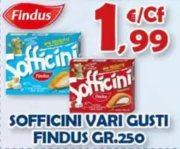 Mercogel Sofficini vari gusti FINDUS offerta