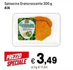 Iper La Grande Spinacina Grancroccante AIA offerta