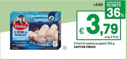 Iper La Grande 5 Fiori di nasello surgelati CAPITAN FINDUS offerta