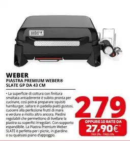 Comet WEBER PIASTRA PREMIUM WEBER SLATE GP DA 43 CM offerta