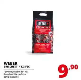 Comet WEBER BRICCHETTI 4 KG FSC offerta