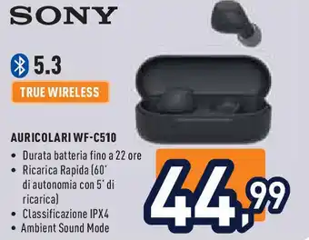 Unieuro SONY AURICOLARI WF-C510 offerta