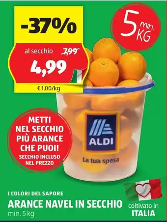 ALDI I colori del sapore arance navel in secchio offerta