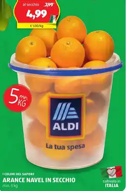 ALDI I colori del sapore arance navel in secchio offerta