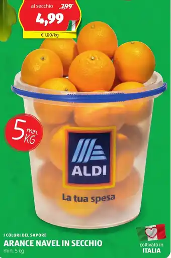 ALDI I colori del sapore arance navel in secchio offerta