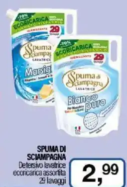 Caddy's SPUMA DI SCIAMPAGNA Detersivo lavatrice ecoricarica assortita offerta