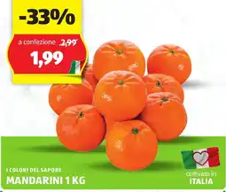 ALDI I colori del sapore mandarini offerta