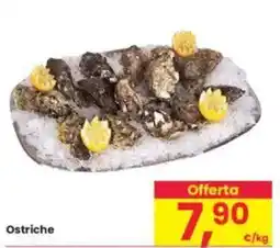 Interspar Ostriche offerta