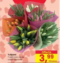 Interspar Tulipani offerta