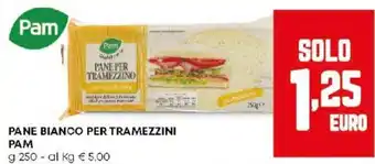 Panorama Pane bianco per tramezzini PAM offerta