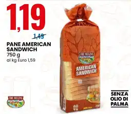 Eurospin TRE MULINI Pane american sandwich offerta