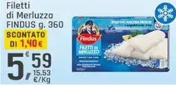 Supermercati Dok Filetti di merluzzo FINDUS offerta