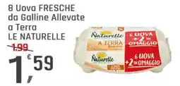 Supermercati Dok 8 uova fresche da galline allevate a terra LE NATURELLE offerta