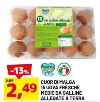 DPiù Cuor di malga 15 uova fresche medie da galline allegate a terra offerta