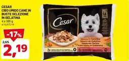 DPiù Cesar cibo umido cane in buste selezione in gelatina offerta