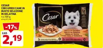 DPiù Cesar cibo umido cane in buste selezione in gelatina offerta