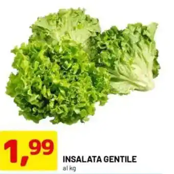 DPiù Insalata gentile offerta