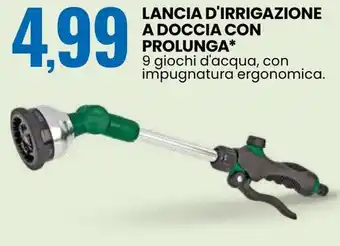 Eurospin Lancia d'irrigazione a doccia con prolunga offerta