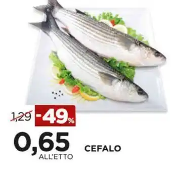 Alì Supermercati Cefalo offerta