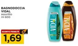 Alì Supermercati Bagnodoccia VIDAL offerta