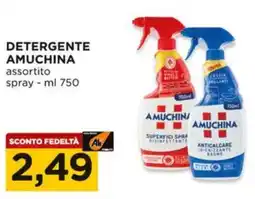 Alì Supermercati Detergente AMUCHINA offerta