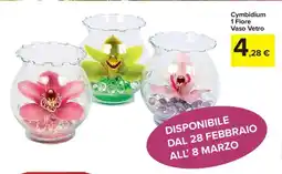 Carrefour Express Cymbidium 1 Fiore Vaso Vetro offerta