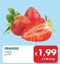 MD Discount FRAGOLE cestino offerta