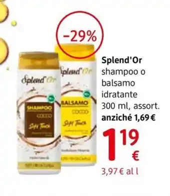 dm drogerie markt Splend Or shampoo o balsamo idratante offerta