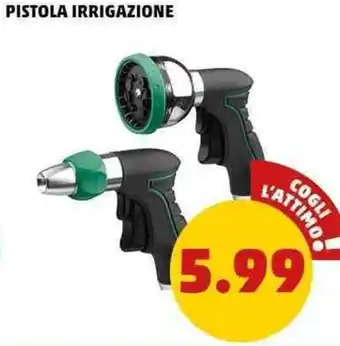 PENNY Pistola irrigazione offerta