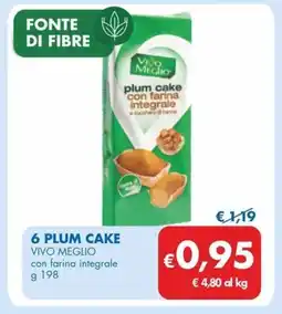 MD Discount 6 plum cake VIVO MEGLIO offerta