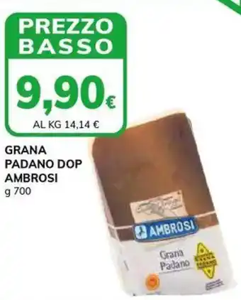 Basko Grana padano dop AMBROSI offerta