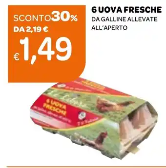 Ekom 6 uova fresche da galline allevate all'aperto offerta