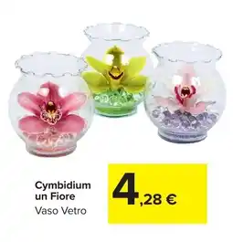 Carrefour Market Cymbidium un Fiore offerta